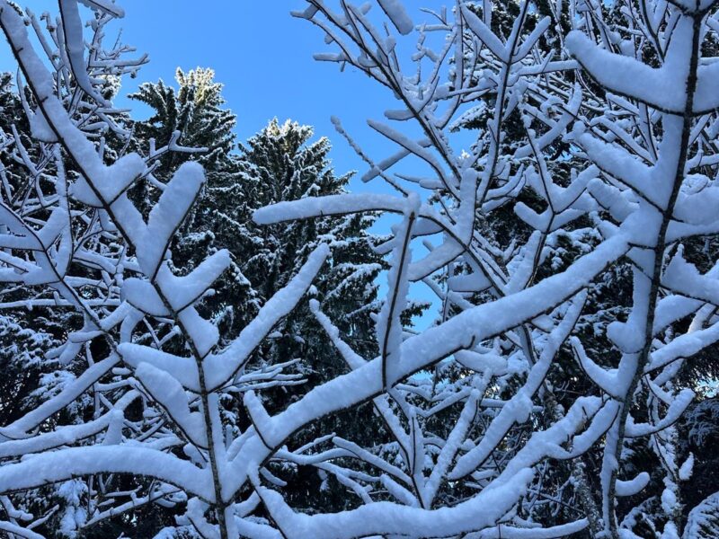 Événement Martin Montcel | Cap sur la montagne : un séminaire au sommet avec le cabinet comptable Eurotec à Saint-Gervais-les-Bains !